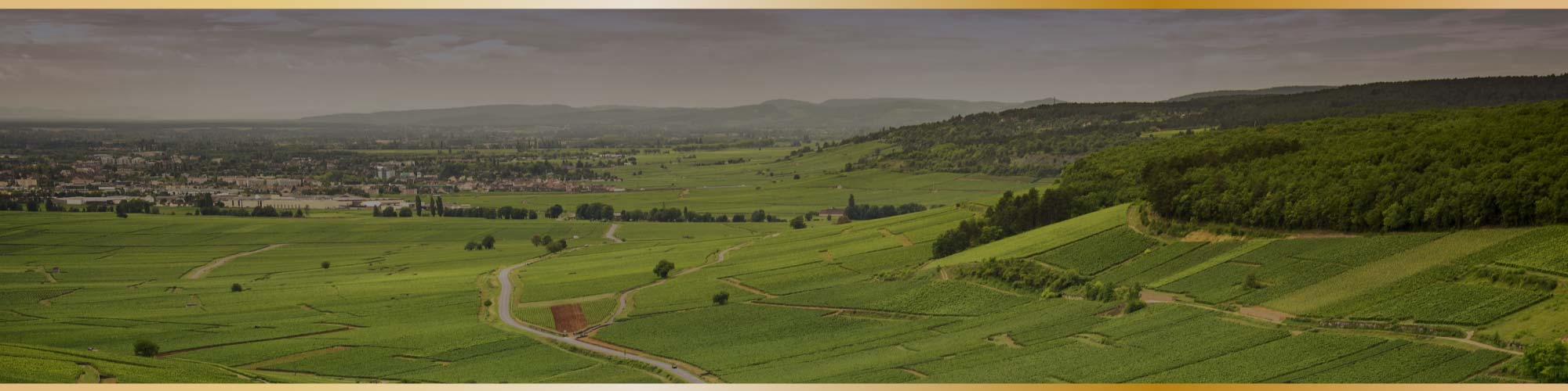 法國 勃根地 紅酒 France Burgundy wine