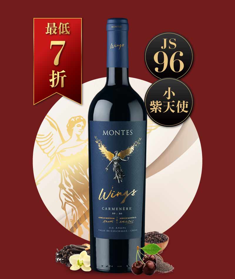 蒙帝斯酒莊 天使之翼 卡門內爾紅酒 Montes Wings Carmenere 2019