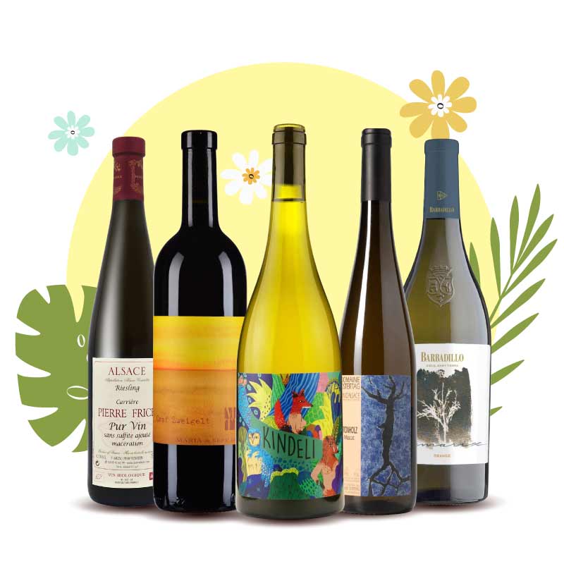 自然派入門首選