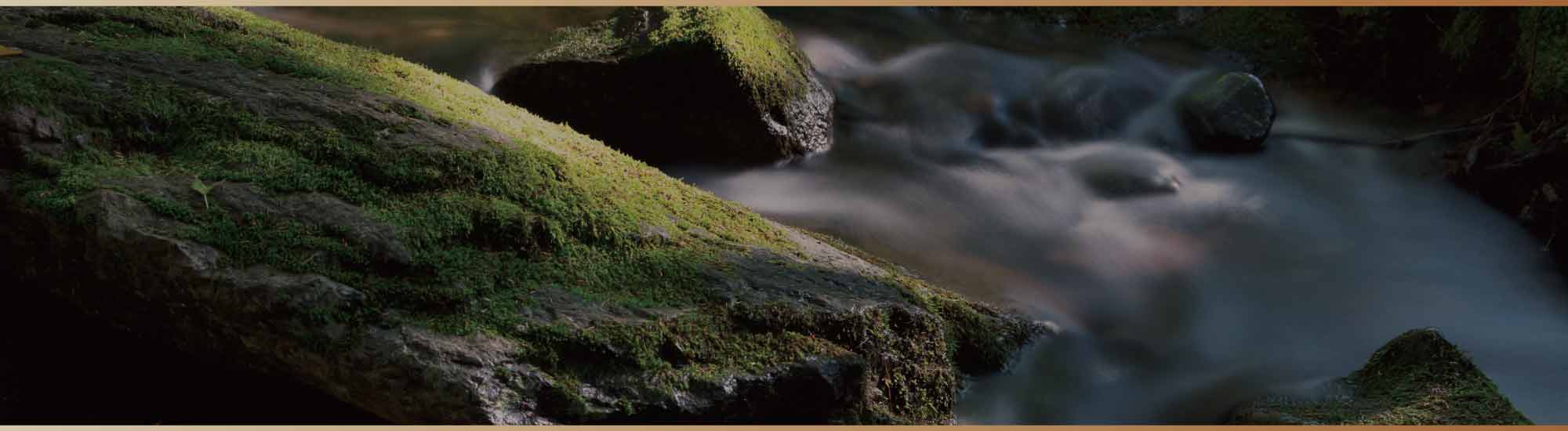 日本清酒 新政酒造 Saketime 排名第一陽乃鳥清酒