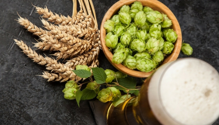 【啤酒入門】影響啤酒風味的四大原料