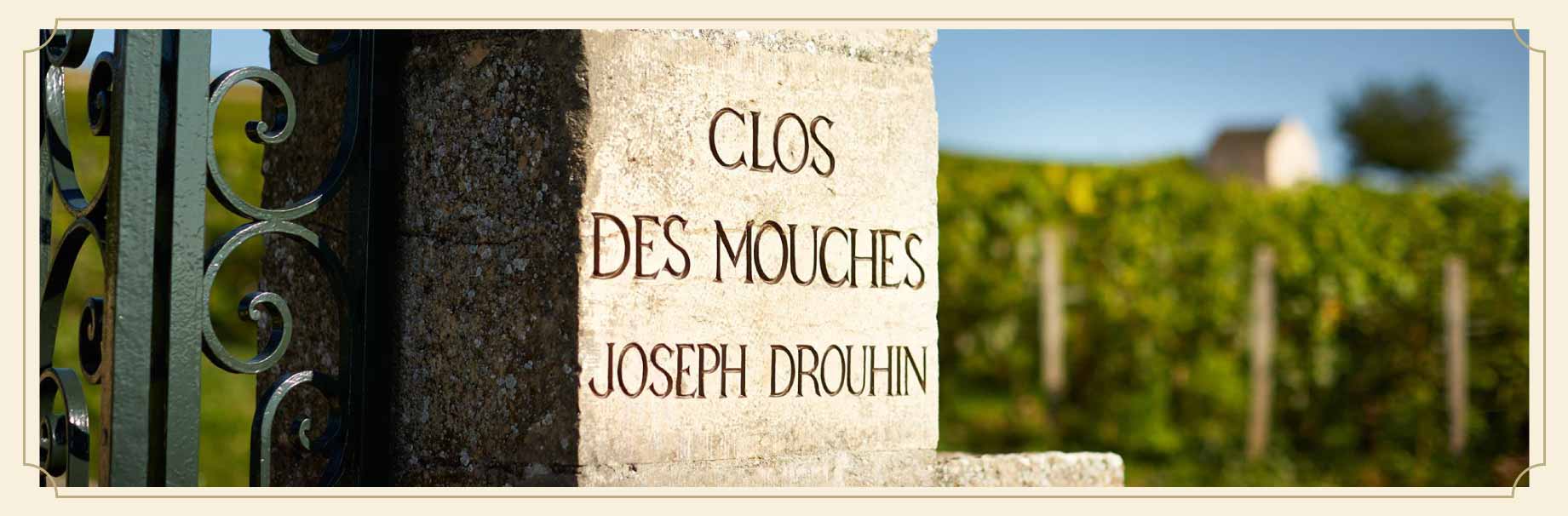 百年精選珍稀地塊