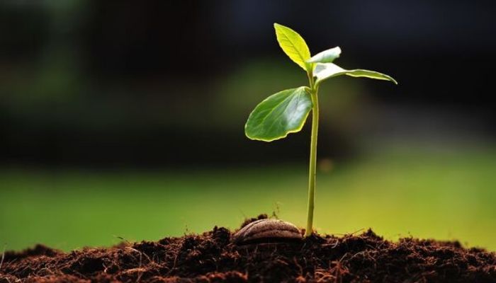 熊爸聊日本清酒：熱不熱很重要！？