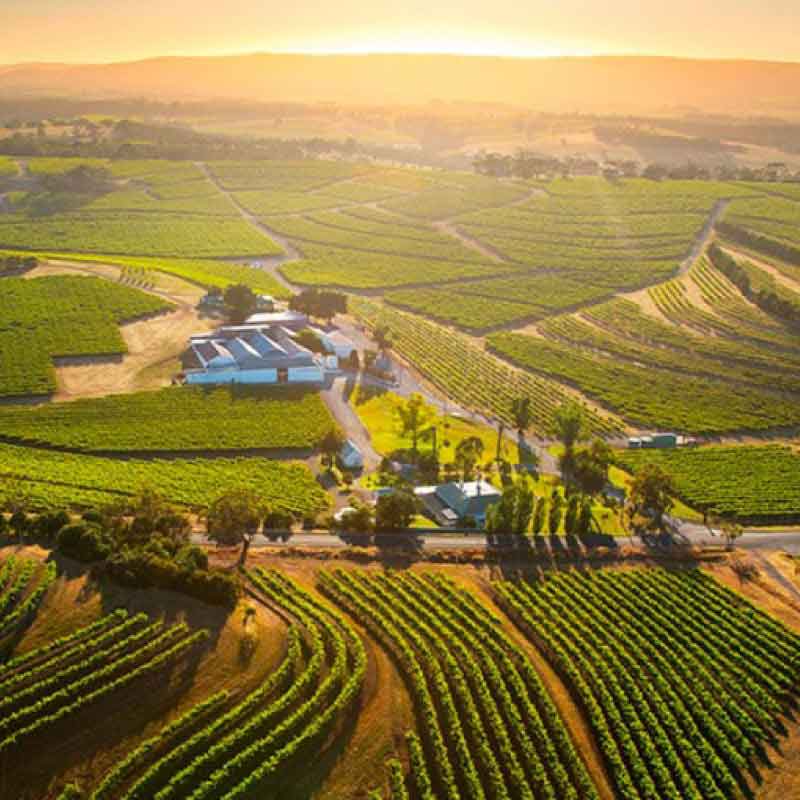 澳洲最具代表性的傳奇酒莊 奔富酒莊 Penfolds