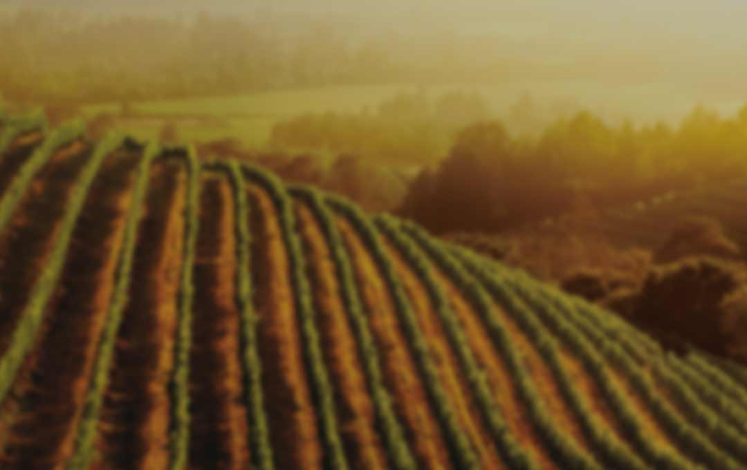 美國 奧勒岡 加州