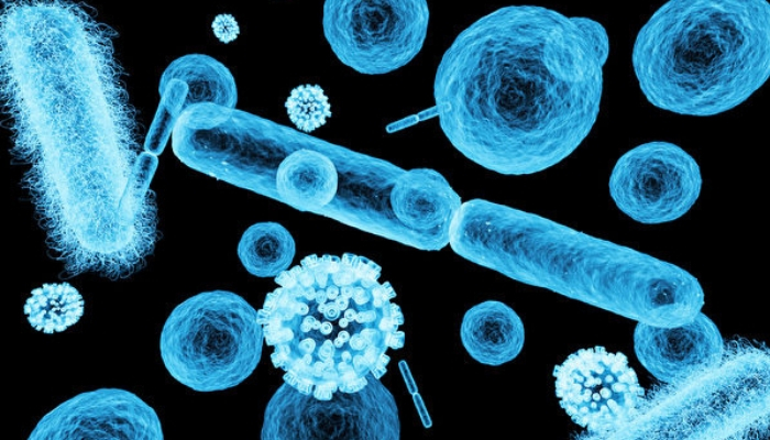 【葡萄酒的科學】葡萄汁是怎麼變葡萄酒的？透過酵母發酵，還是另有高人相助？