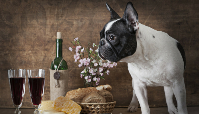 葡萄酒的好年份和壞年份：波爾多、布根地經典年份大公開！