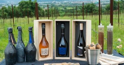 台灣人的葡萄酒！日益崛起的葡萄酒新興產區 - 台灣