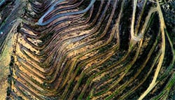 【產區介紹】西班牙產區酒款風味簡單學