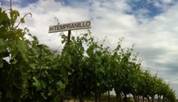 為國爭光的西班牙代表品種