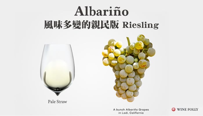 【葡萄品種】西班牙特有品種： Albariño 