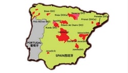 【產區介紹】西班牙原產地名稱保護制度 - 喝到傳統優良酒款的訣竅